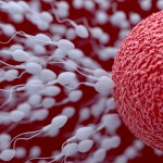 7 segni che il tuo sperma è sano